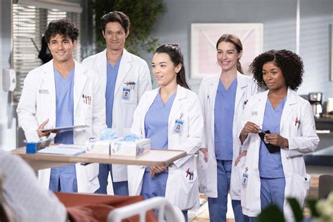 grey's anatomy season 19 bdscr|Season 19 (Grey's Anatomy).